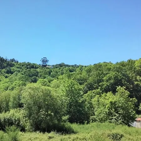 Casa vacanze Mill House By The River *