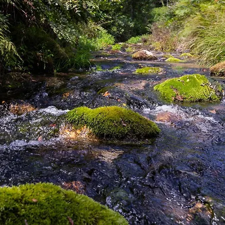 Mill House & Hot Tub For Extra 10 Eur Night *