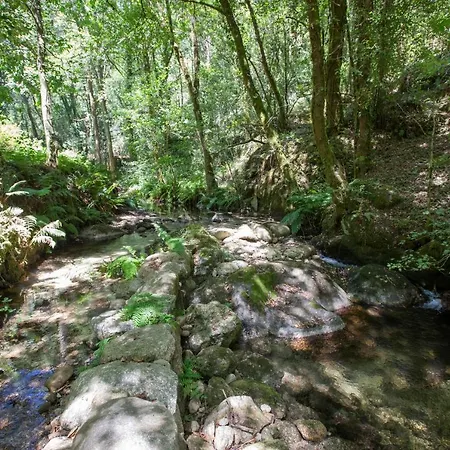 Holiday home Mill House & Hot Tub For Extra 10 Eur Night *