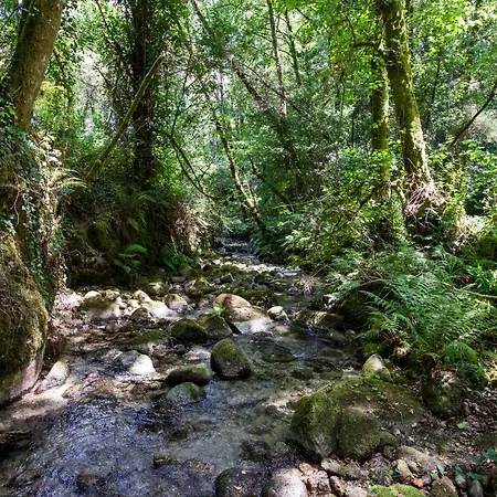 Mill House & Hot Tub For Extra 10 Eur Night Holiday home