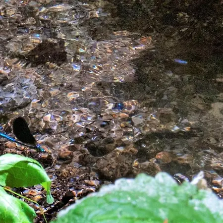 Mill House & Hot Tub For Extra 10 Eur Night Arcos de Valdevez