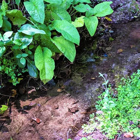 Holiday home Mill House & Hot Tub For Extra 10 Eur Night Arcos de Valdevez