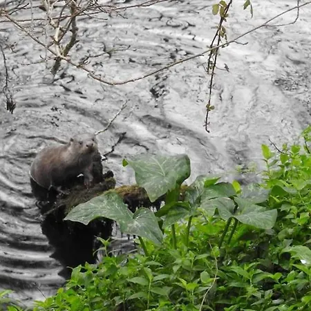 Mill House & Hot Tub For Extra 10 Eur Night