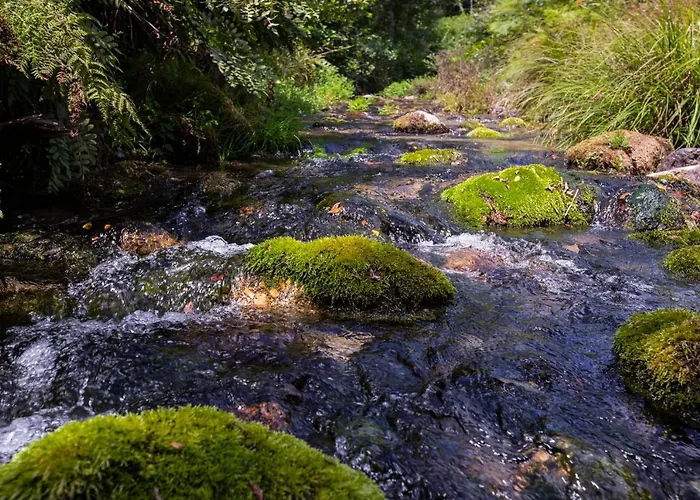 Mill House & Hot Tub Extra 15 Eur Night Booked *