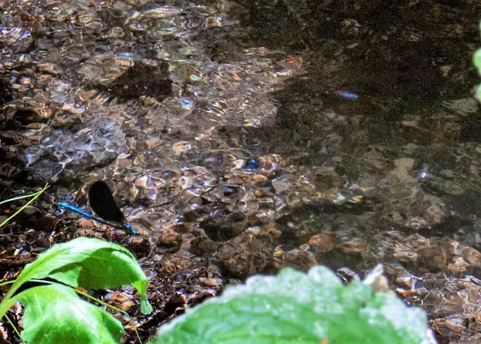 Mill House & Hot Tub Extra 15 Eur Night Booked Arcos de Valdevez