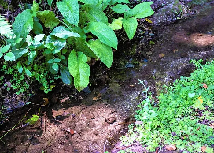 بيت للعطل Mill House & Hot Tub Extra 15 Eur Night Booked اركوس دي فالديفيز