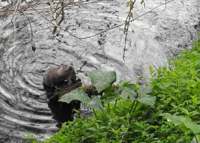 Mill House & Hot Tub Extra 15 Eur Night Booked